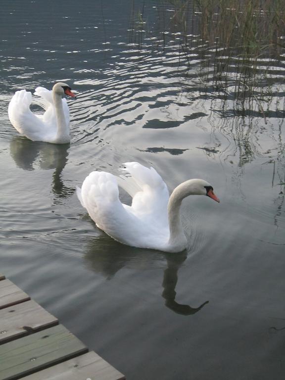 Seehaus Karantanien Am Ossiacher See Dış mekan fotoğraf